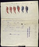 Infanterie Regiment N.22, Regiment Schotten N.1 (R.S.I)