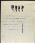 Regiment Infanterie N.13 (R.N.XIII)