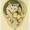 Écran (chats et oiseaux).