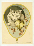 Écran (chats et oiseaux).