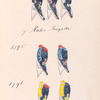 Von Mönster, van Nywenheim,  de [Perez], 7. Halve Brigade, 1795, 1796, Grenadiers, Fusiliers