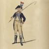 Bataafsche Republiek, Nationaal Garde 1796, Volontair der Cavallerie