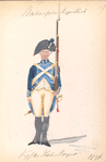 Bataafsche Republiek, Vijfde  Halve Brigade