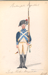 Bataafsche Republiek, Zesde Halve Brigade