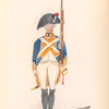 Bataafsche Republiek, Zevende Halve Brigade