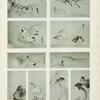 Oiseaux japonais.