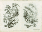 Chinoiseries par Pillement, complément de l'ouvrage publié chez Guérinet (époque Louis XV)