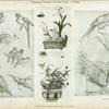 Oiseaux de la Chine par Huquier, époque Louis XV; vases chinois.