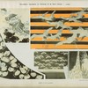 Modèles de robes japonaises.
