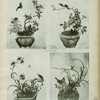 Décorations chinoises, vases de fleurs et oiseaux.
