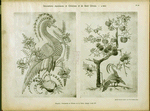 Huquier : ornements et oiseaux de la Chine, époque Louis XV.