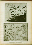 Bas de robe japonais. ; Feuille d'album japonais, par Hokusaï.
