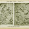 Huquier : Livre d'oiseaux et ornements de la Chine, époque Louis XV.