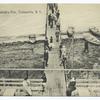 View of  Friedrich'sPier, Tottenville, N.Y. [people on wooden boardwalk and pier.]