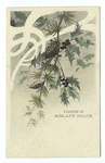 Souvenir of Midland Beach. [Branches of holly and pine with cones]