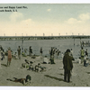 Bathing Scene and Happy Land Pier, South Beach, Staten Island  [people on beach and float, pier in distance.]