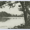 Arbutus Lake, Huguenot Park, Staten Island, N.Y.