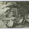 Brook'sPond, West Brighton, Staten Island, N.Y. [people in canoe on lake shore]
