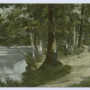 Brook'sLake, West Brighton, Staten Island, N.Y. [people standing against trees on shoreline]