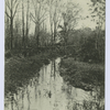 Bulls Head Brook, Staten Island, N.Y.