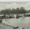 Bathing at the New Dam, Martling'sPond, West Brighton, Staten Island, N.Y.  [people swimming at the dam]