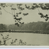 Hikers at Clove Lake, Staten Island