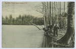 Martling'sPond, Staten Island, N.Y. [men fishing off shore]