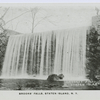 Brooks' (sic) Falls, Staten Island, N.Y.
