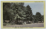 Stapleton Park, Stapleton, Staten Island, N.Y. [view from street, benches along edge of park with woman and children]