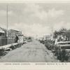 Lower Ocean Avenue, Oakwood Beach, Staten Island, N.Y.  [beach cottages, people walking on raised sidewalk]