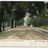 Bard Ave., looking South from Henderson Ave.  West Brighton, Staten Island  [tree-lined street with large houses on right and horse and carriage in nearly empty street]