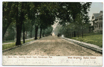 Bard Ave., looking South from Henderson Ave.  West Brighton, Staten Island  [tree-lined street with large houses on right and horse and carriage in nearly empty street]