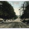 St. Paul'sAvenue, Tompkinsville, Staten Island, N.Y.  [long, tree-lined brick street]