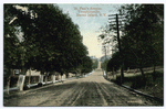 St. Paul'sAvenue, Tompkinsville, Staten Island, N.Y.  [long, tree-lined brick street]