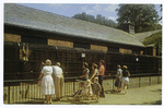 Staten Island Zoo  [people at railing watching monkey in outdoor cage]