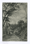 On a Staten Island Farm, New Dorp, Staten Island, N.Y. (cows standing on dirt path)