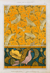 Poisson et algues, papier peint; pigeon et pavots, bordure de vitrail