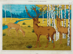 Cerfs.