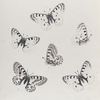 Parnassius II: 1. Smitheus (in varieties); 2. (Sayii).