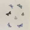 Lycaena I. 1-4. Violacea; 5-7. Lygdamus.