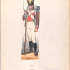Hollande. Domin... Francaise. Empire (Infirmier.)