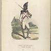 France. Grenadier a pied (Garde Imperiale), 3e [deerde] Regiment (Hollandais)