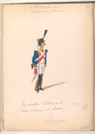 Nederlande (dom... Francais). Bataillon Colonel (Empi... de Indes)