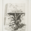 Origine du chapiteau corinthien d'après l'invention du sculpteur Callimachus, suivant Vitruve