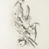 Acanthus leaves