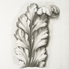Acanthus leaf