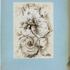 Floral ornamentation