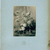 Flowers and birds
