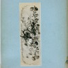 Flowers and birds