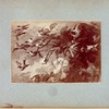 Dog and birds